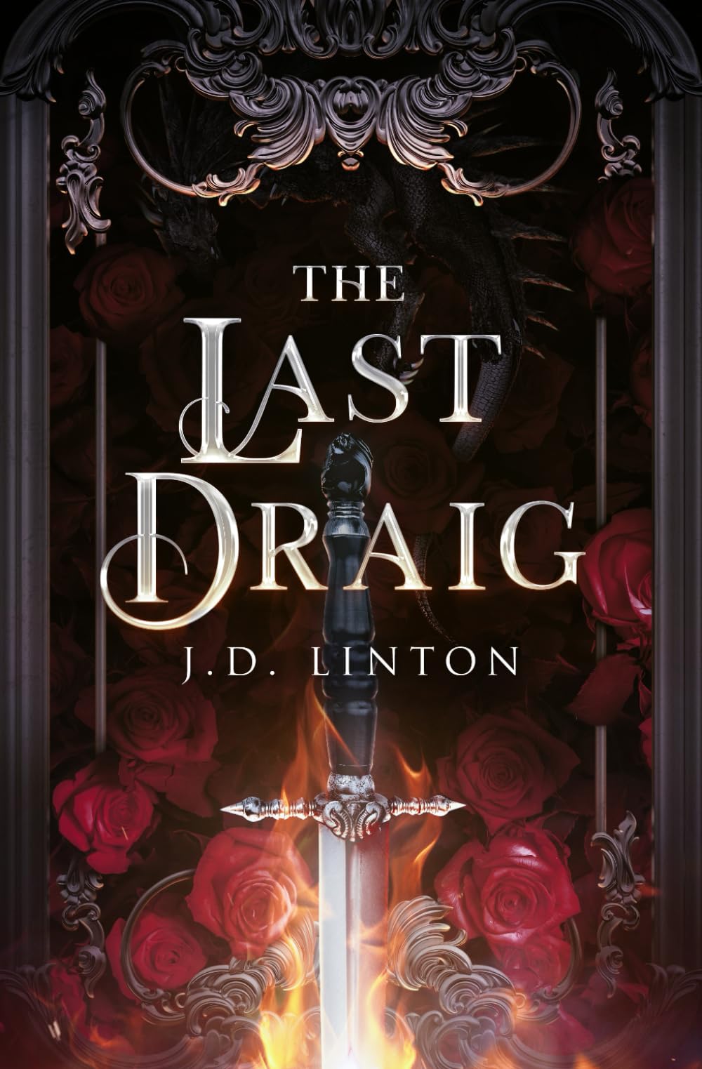 The Last Draig (Rogue X Ara, Band 2) Romance
