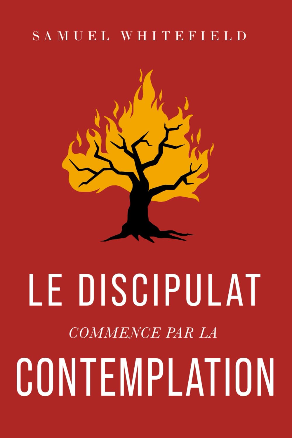 Le Discipulat Commence Par la Contemplation Religion & Esotericism