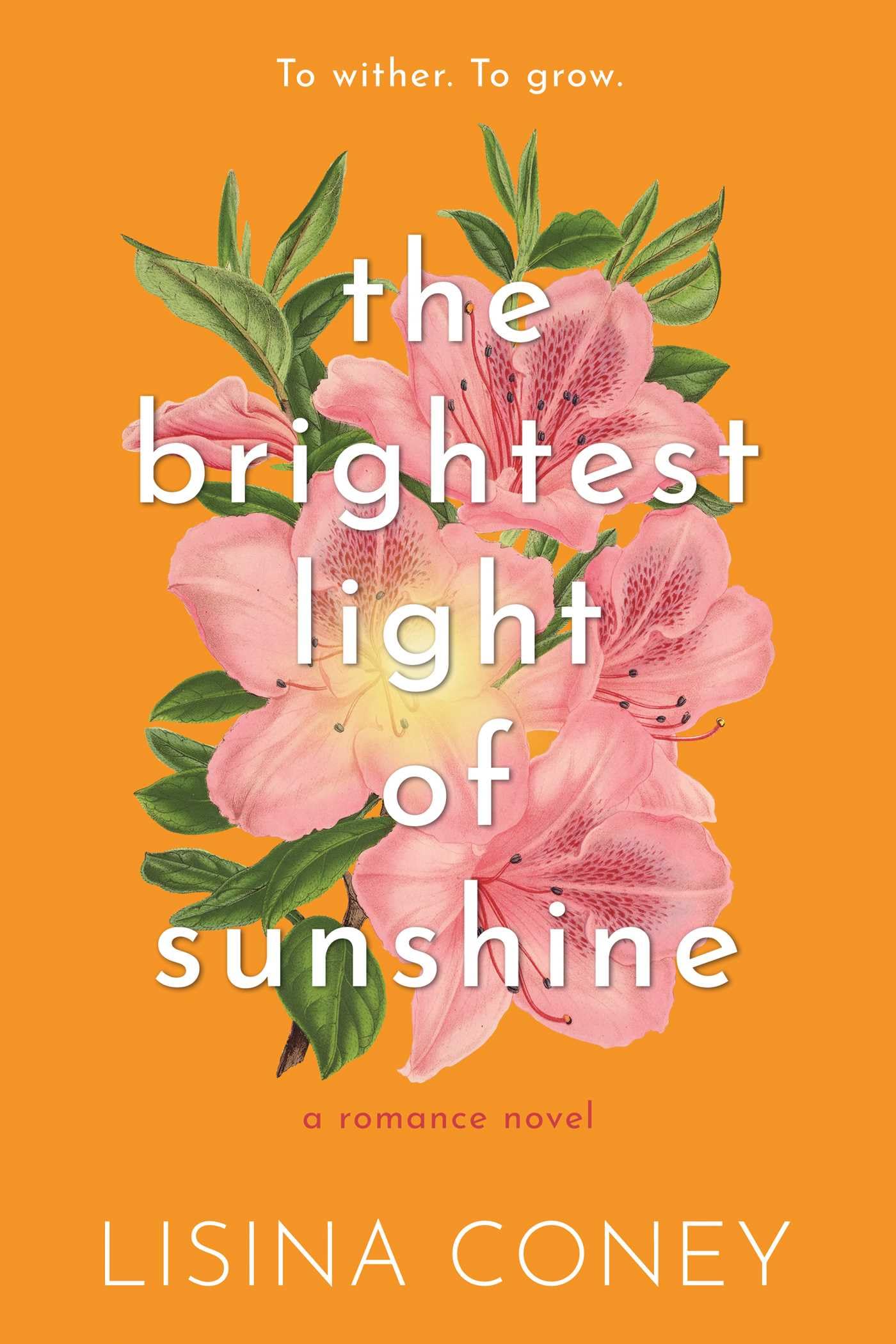 Brightest Light of Sunshine (Volume 1) Contemporary literature