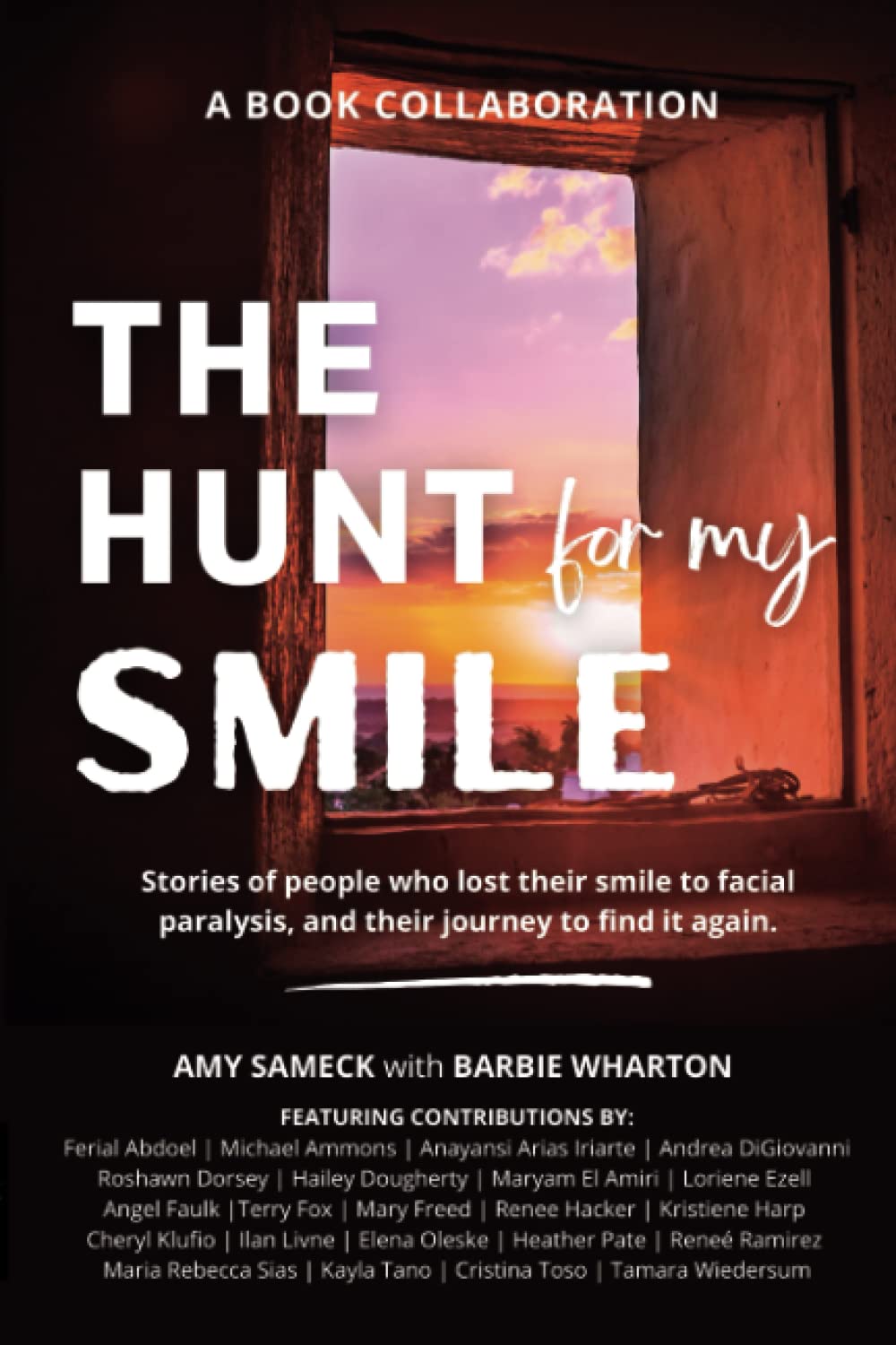 The Hunt for My Smile: Stories of people who lost their smile to facial paralysis, and their journey to find it again. Politics & Society Books