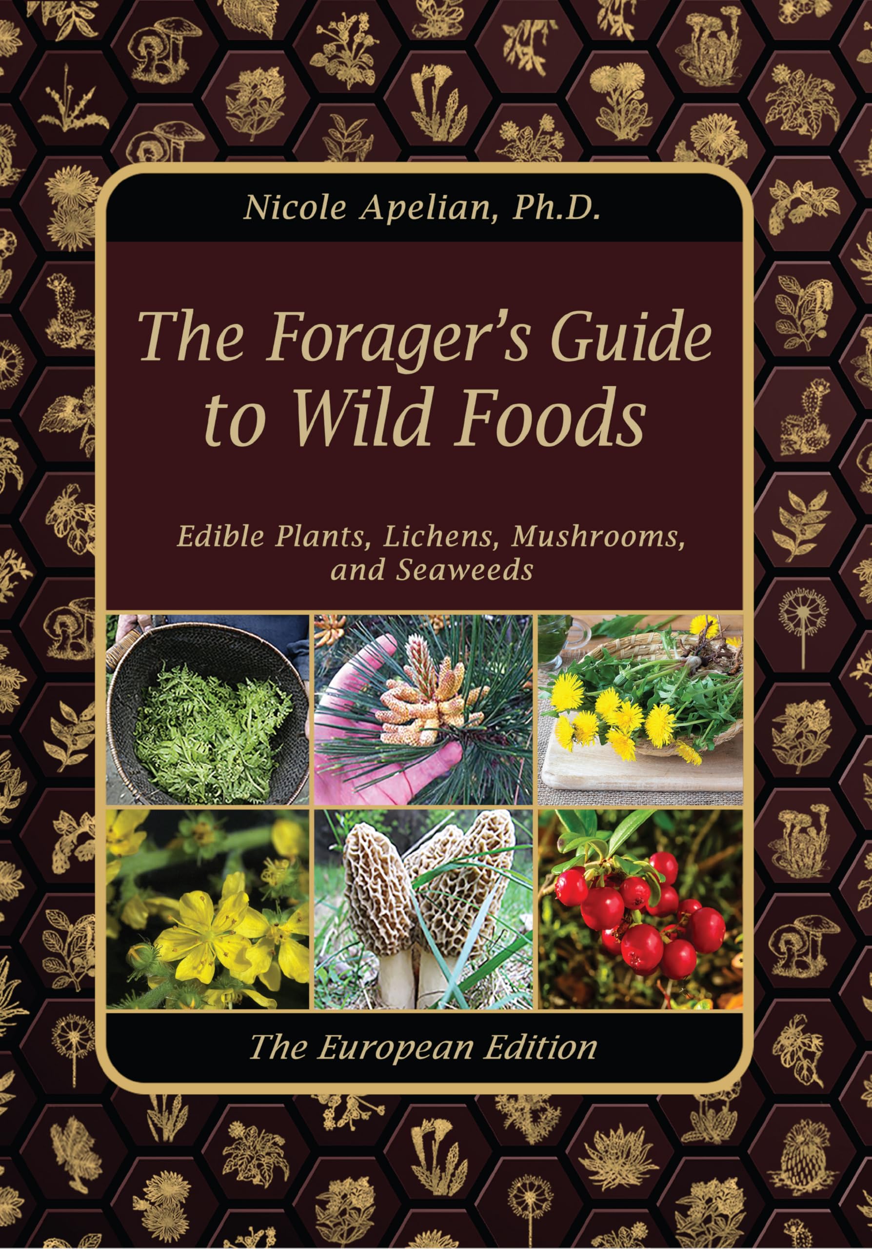 The Forager's Guide to Wild Foods - English Edition Books