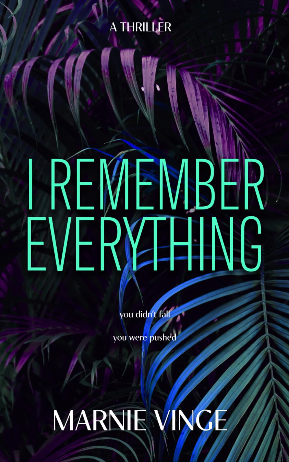 I Remember Everything: a dark and twisty psychological thriller (Dark and Twisty Psychological Thrillers) Contemporary literature
