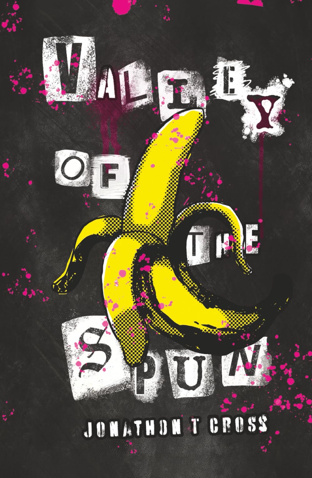 Valley of the Spun Contemporary literature