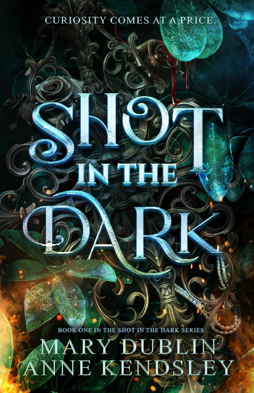 Shot in the Dark: A Spellbinding Enemies-to-Lovers Urban Fantasy Adventure (Shot in the Dark Series, Band 1) Action & Adventure