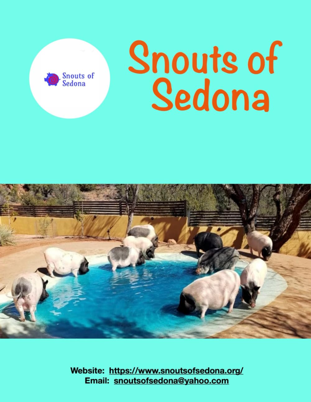 Snouts of Sedona Law