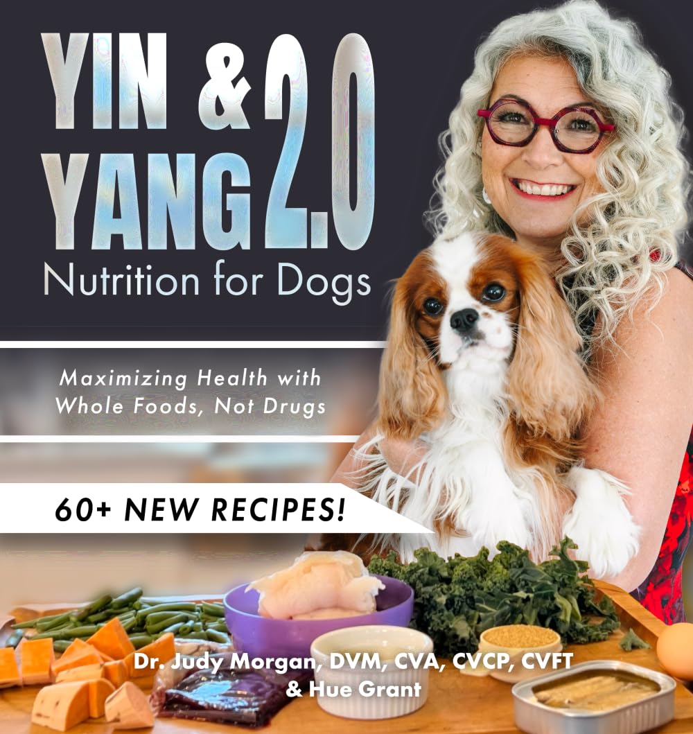 Yin & Yang 2.0 Nutrition for Dogs: Maximizing Health with Whole Foods, Not Drugs book