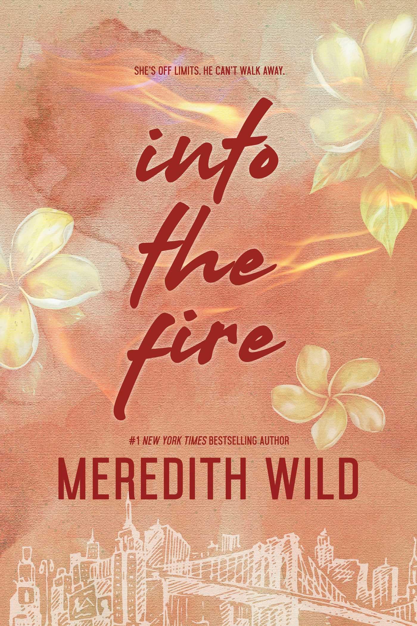 Into the Fire: Darren & Vanessa's Story (The Bridge Series, Band 2) Contemporary literature
