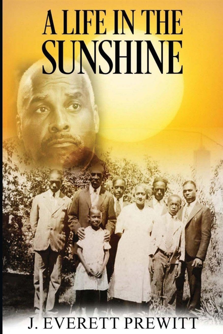 A Life In The Sunshine Books