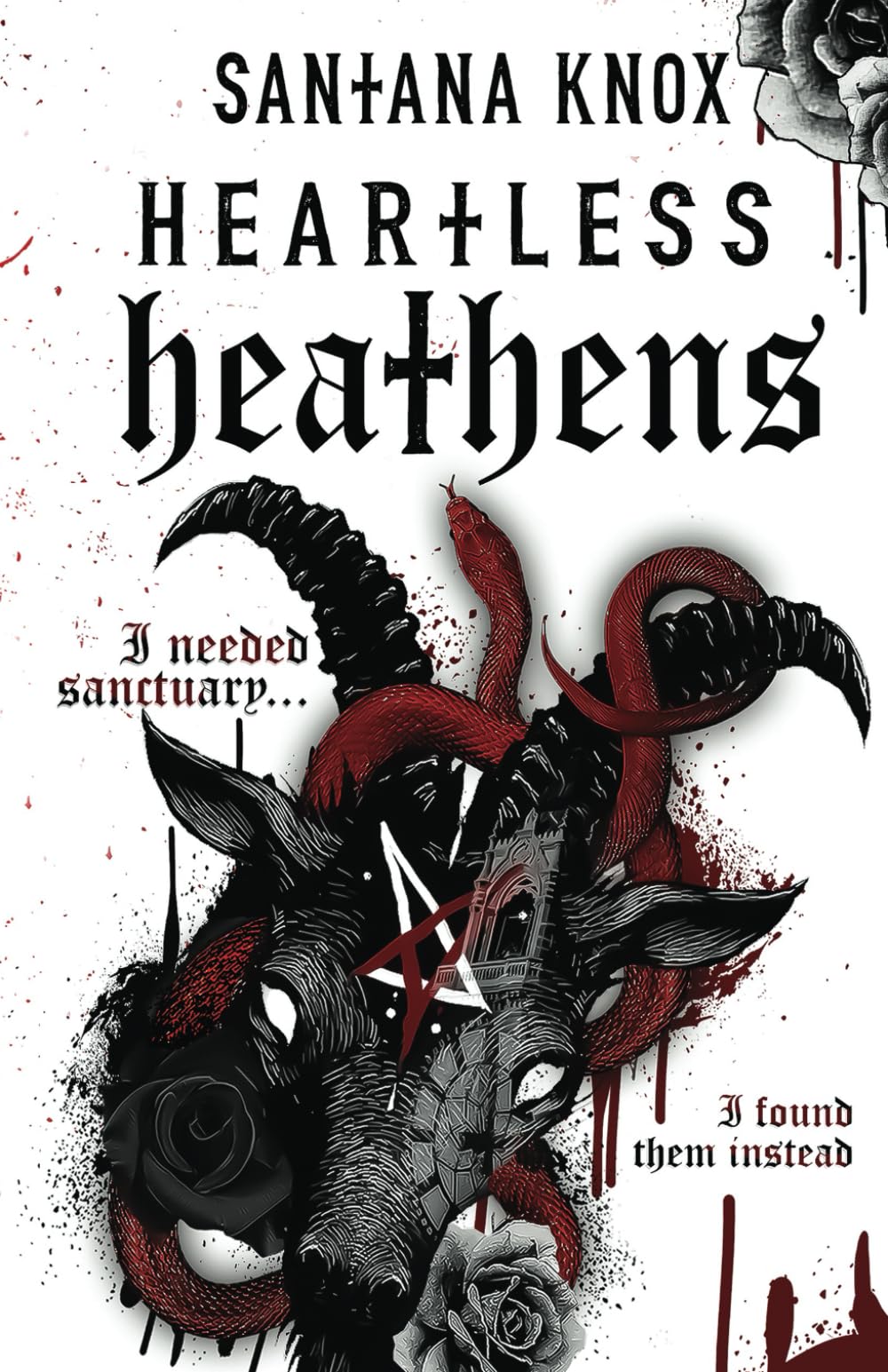 Heartless Heathens Historical Fiction