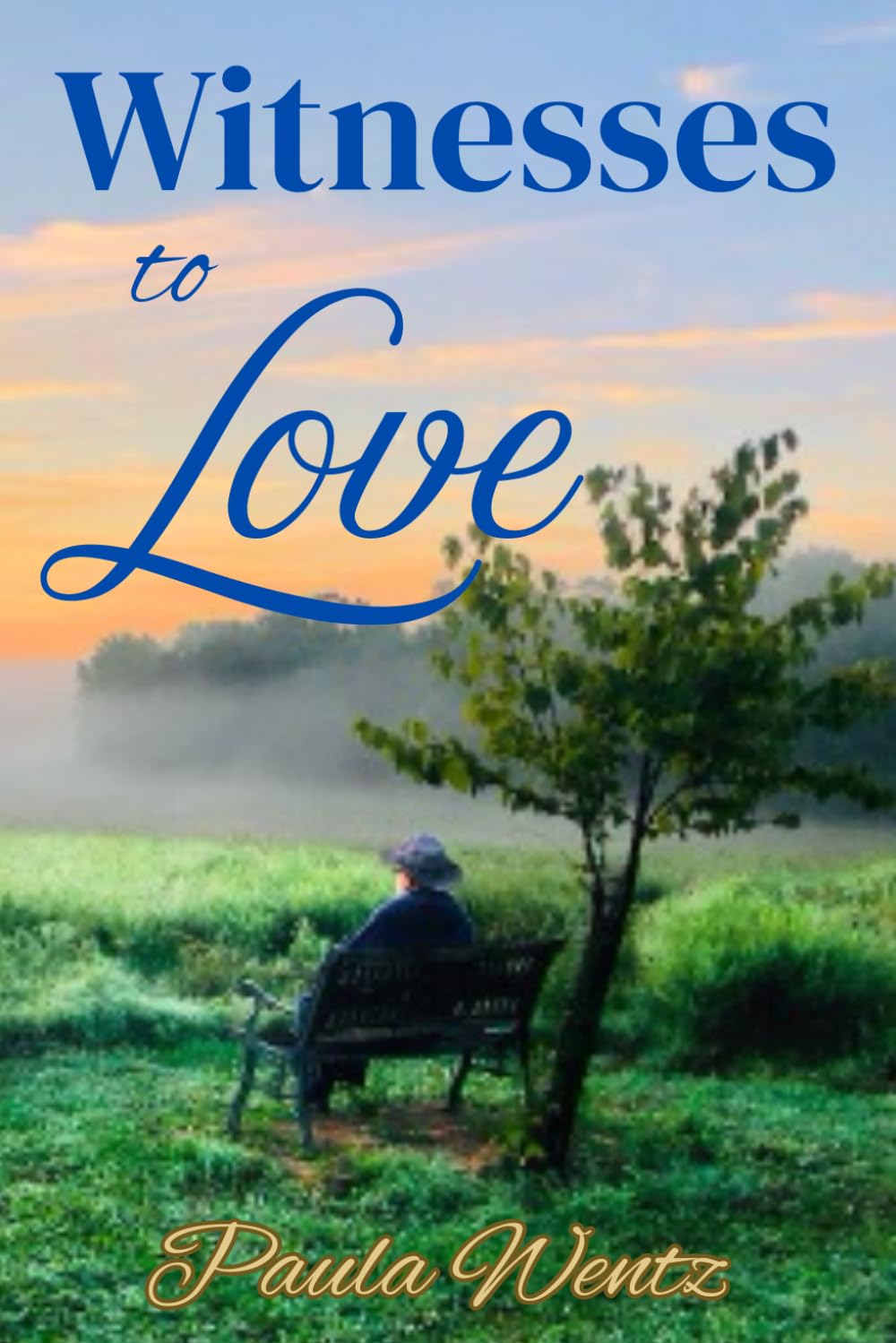Witnesses to Love Historical Fiction
