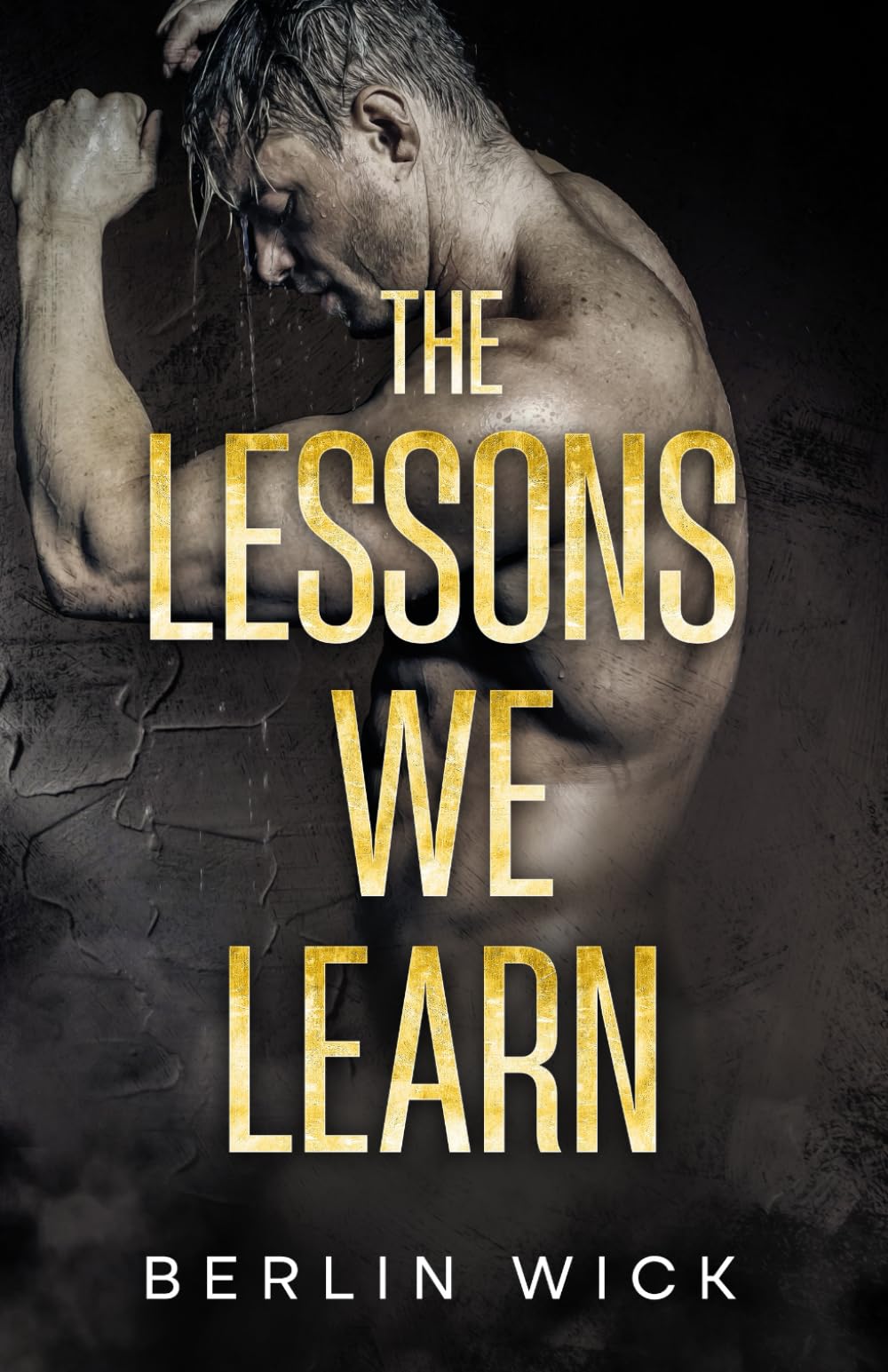 The Lessons We Learn (Balance of Power, Band 4) Contemporary literature