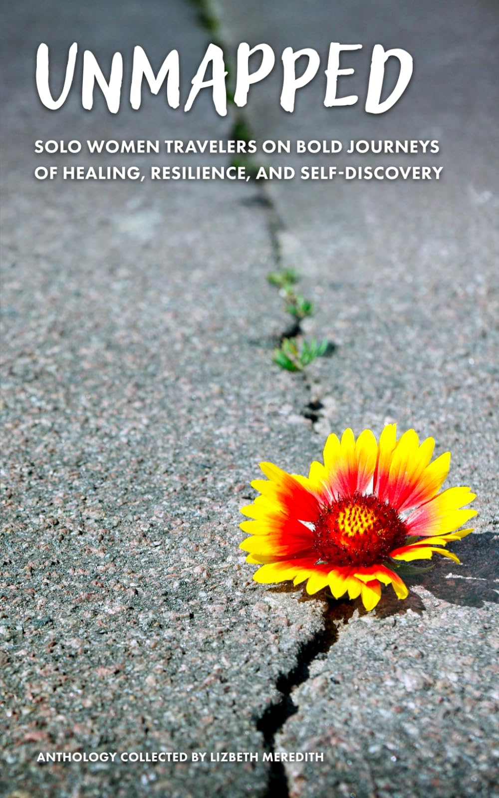 Unmapped  Solo Women Travelers on Bold Journeys of Healing, Resilience, and Self-Discovery Politics & Society Books