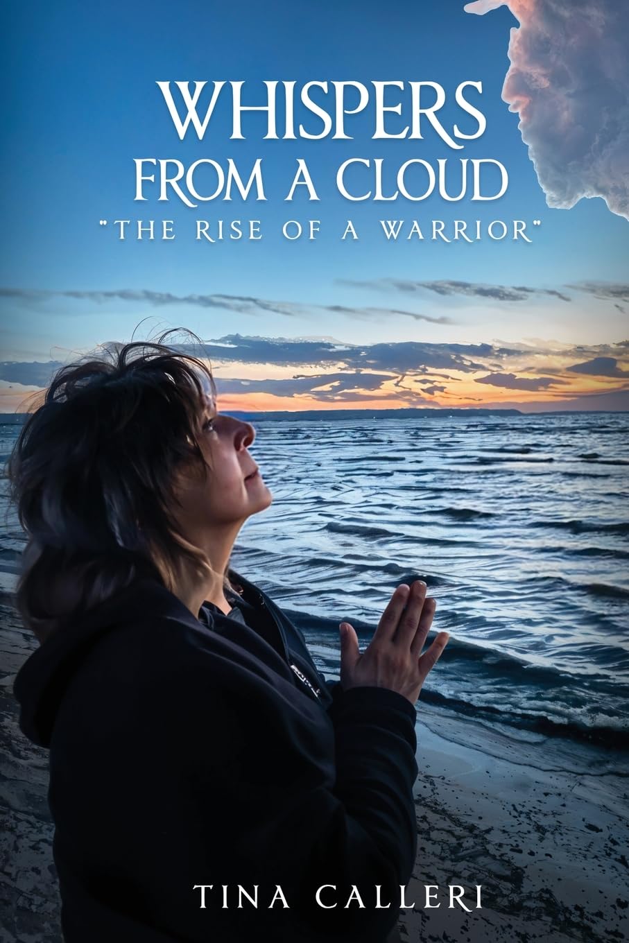 Whispers from a cloud. "The Rise of a Warrior" Social Sciences