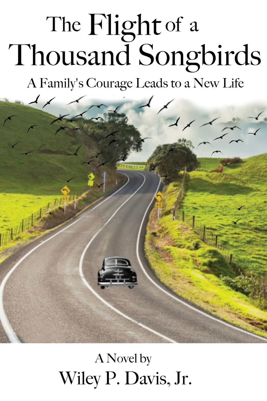 The Flight of a Thousand Songbirds Contemporary literature
