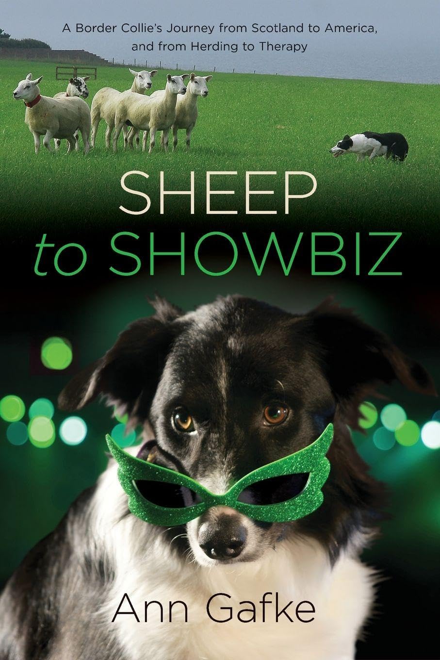 Sheep to Showbiz Pets