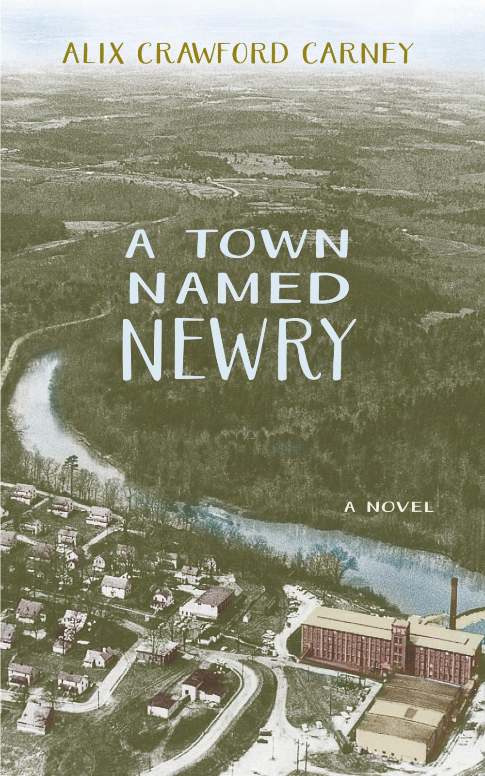 A Town Named Newry Historical Fiction