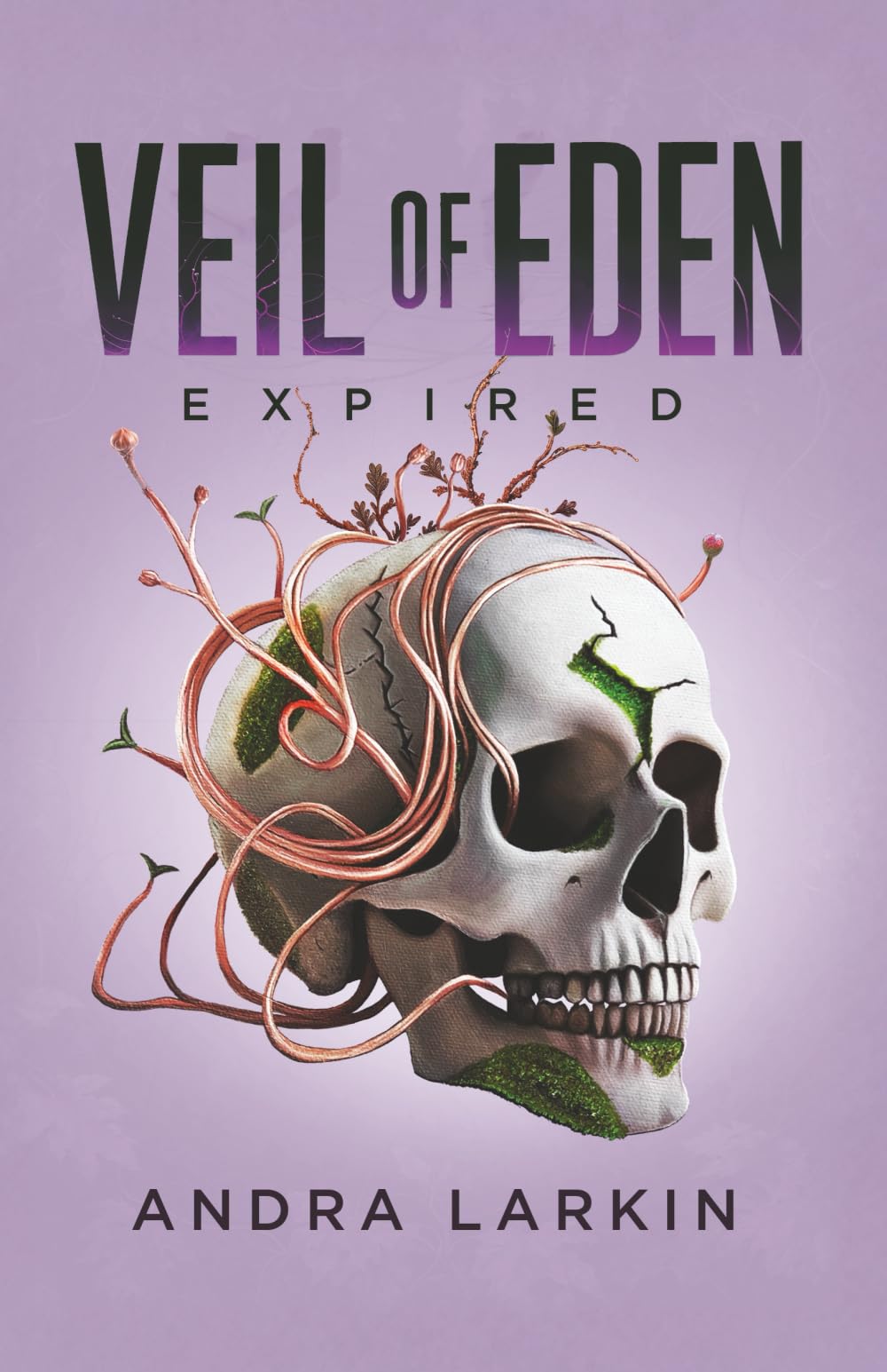 Product Image: Veil of Eden
