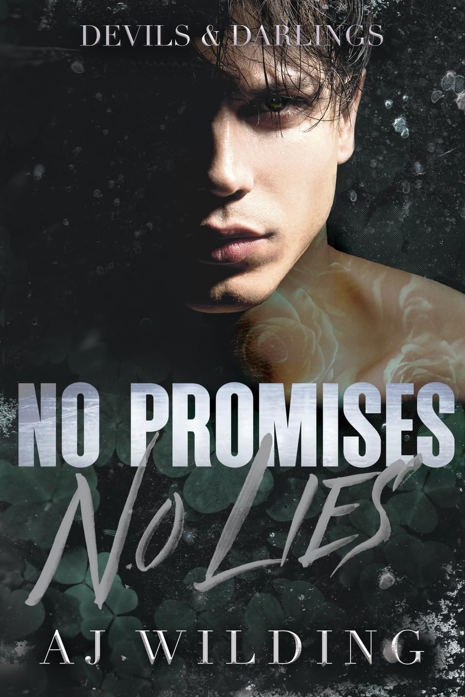 No Promises, No Lies Contemporary literature
