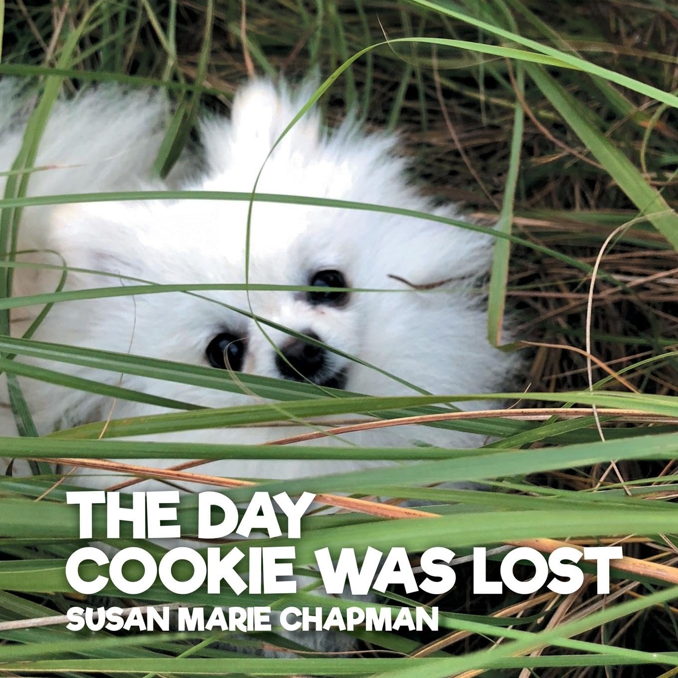 The Day Cookie Was Lost Novels & Short Stories