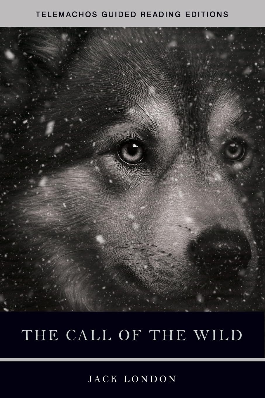 The Call of the Wild Contemporary literature