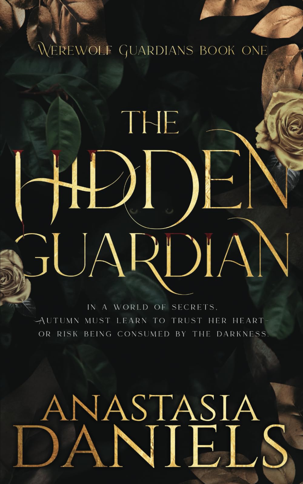 The Hidden Guardian Historical Fiction