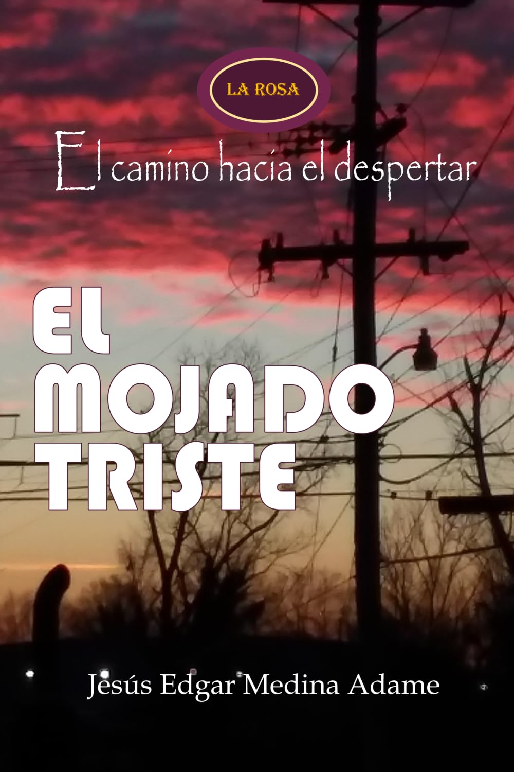 El Mojado Triste Contemporary literature
