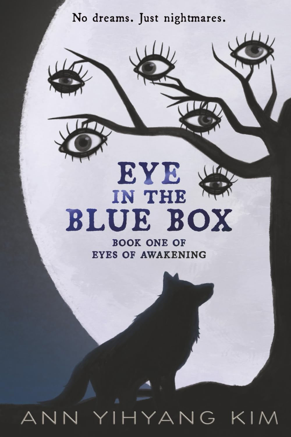 Eye in the Blue Box Historical Fiction