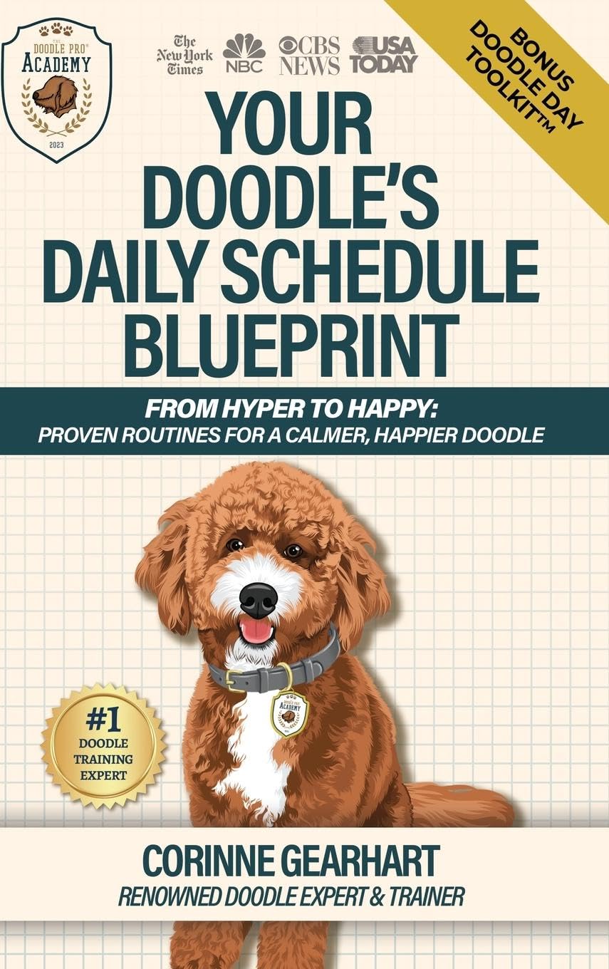 Your Doodle's Daily Schedule Blueprint Pets