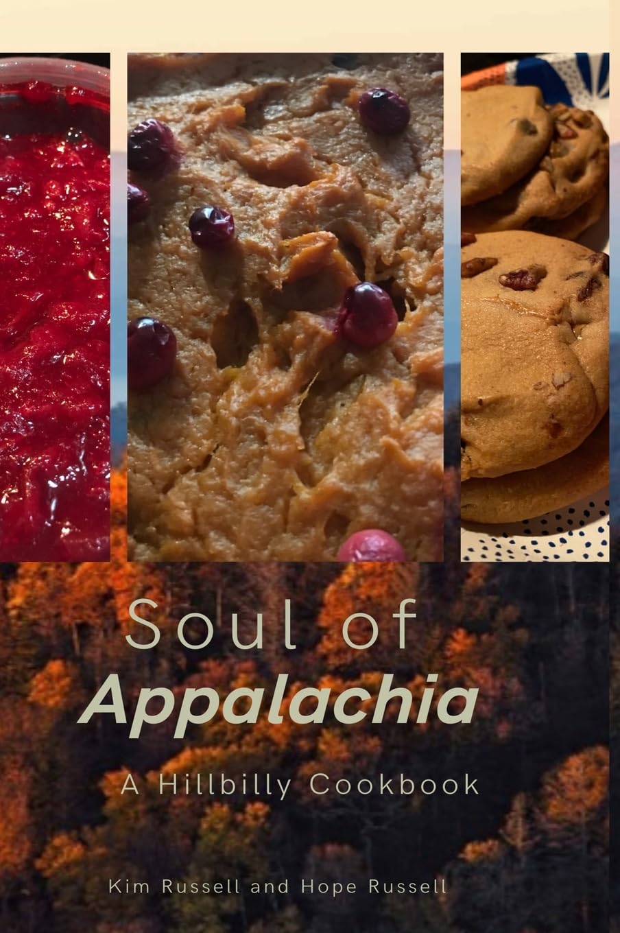 Soul of Appalachia A Hillbilly Cookbook Hobbies & Crafts