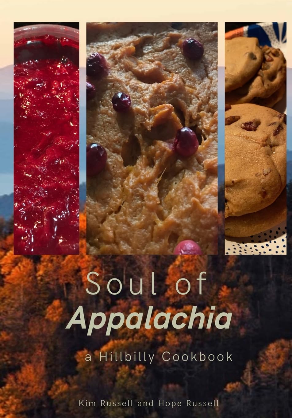 Soul of Appalachia A Hillbilly Cookbook Hobbies & Crafts