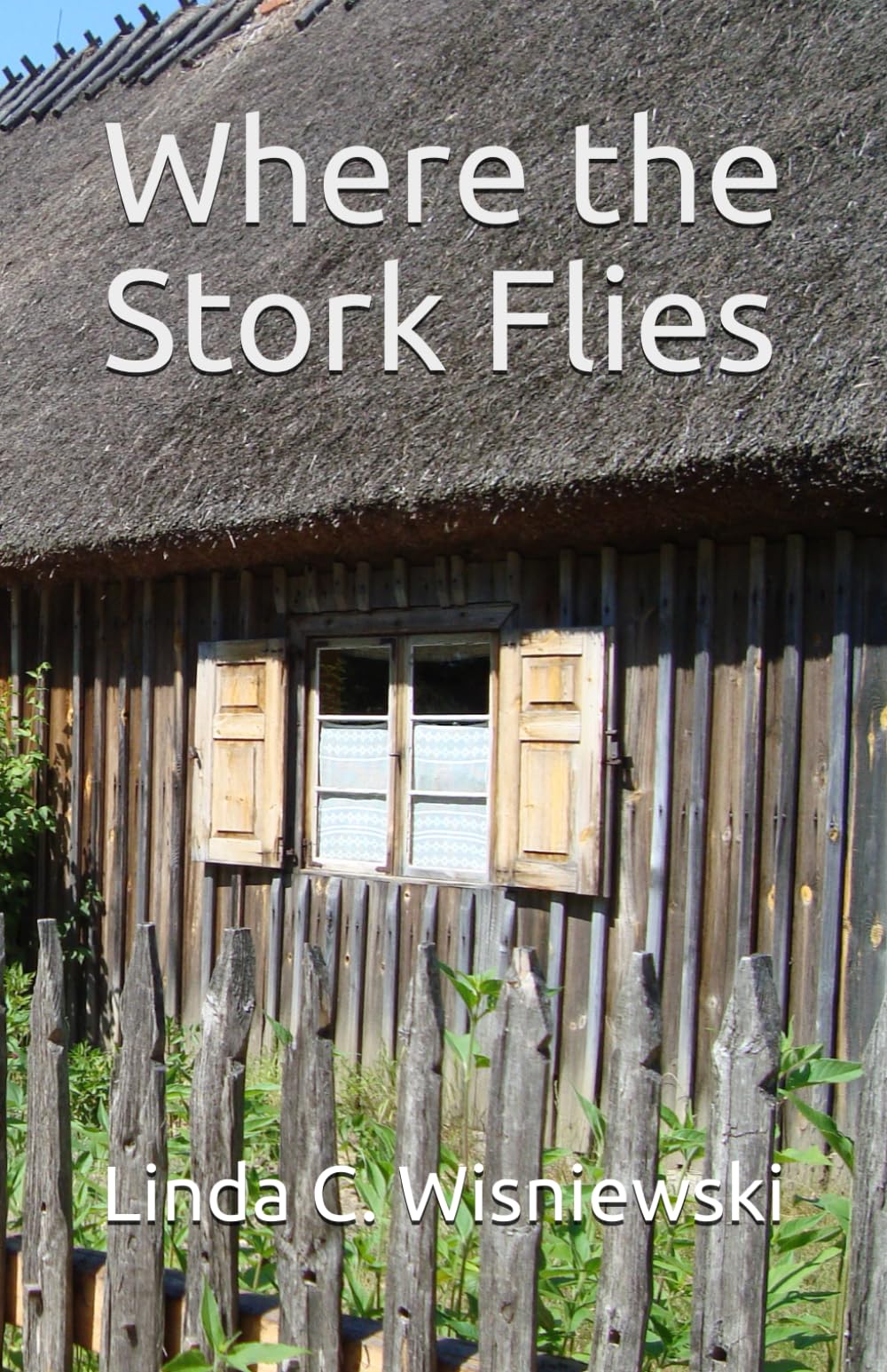 Where the Stork Flies Social Sciences