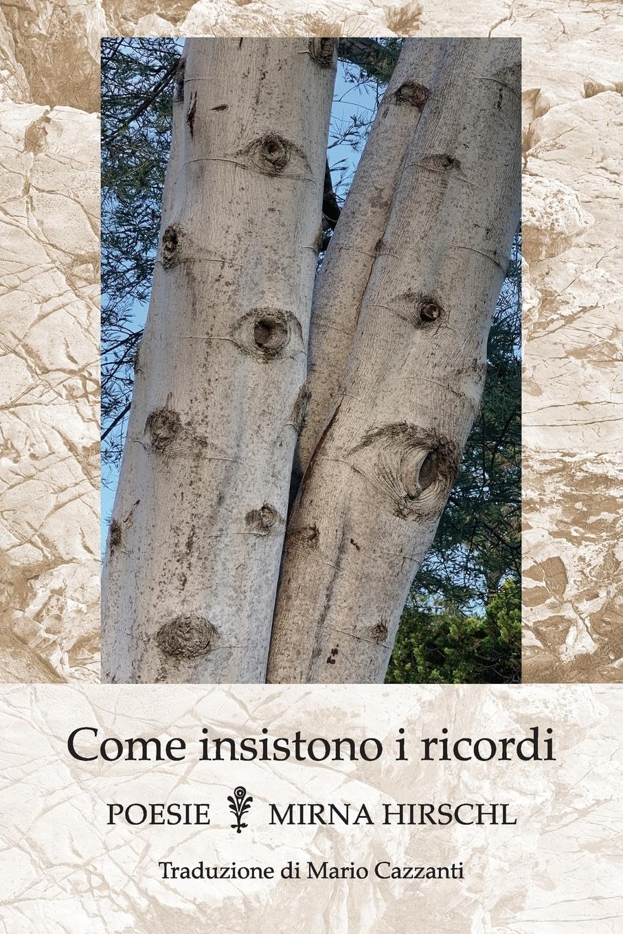 Come insistono i ricordi Poetry
