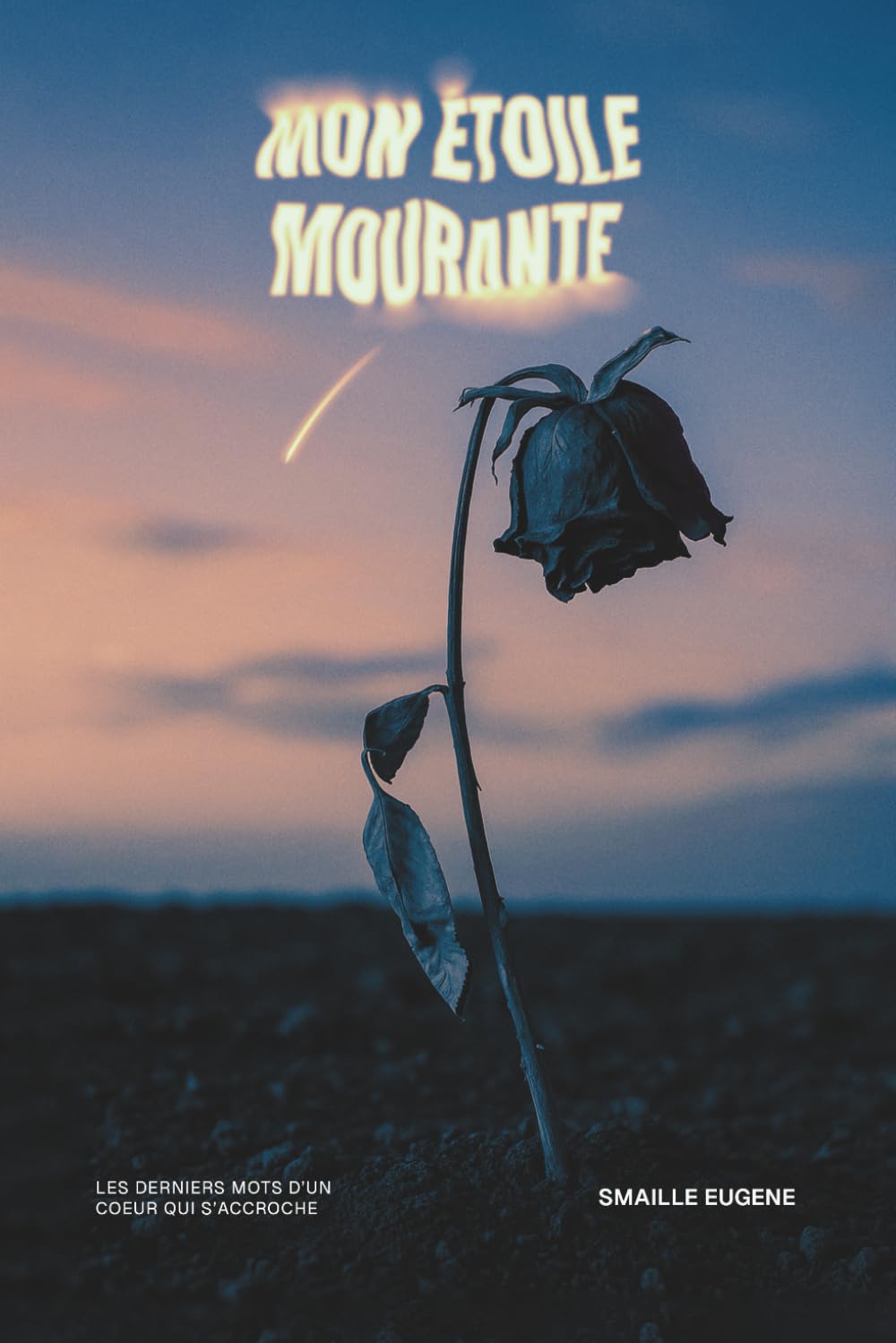 Mon Étoile Mourante: Les derniers mots d’un cœur qui s’accroche: Les derniers mots d'un c¿ur qui s'accroche Poetry