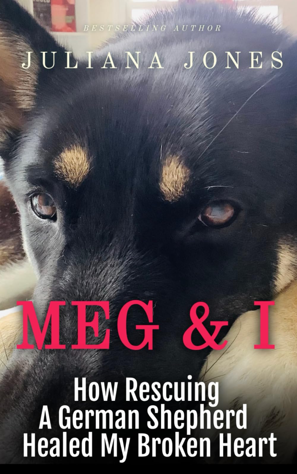 Meg & I; A Love Story Inspiring women Books