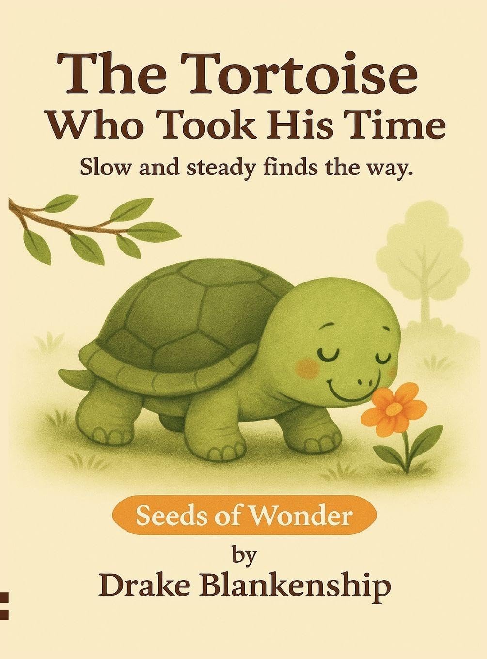 The Tortoise Who Took His Time Novels & Short Stories