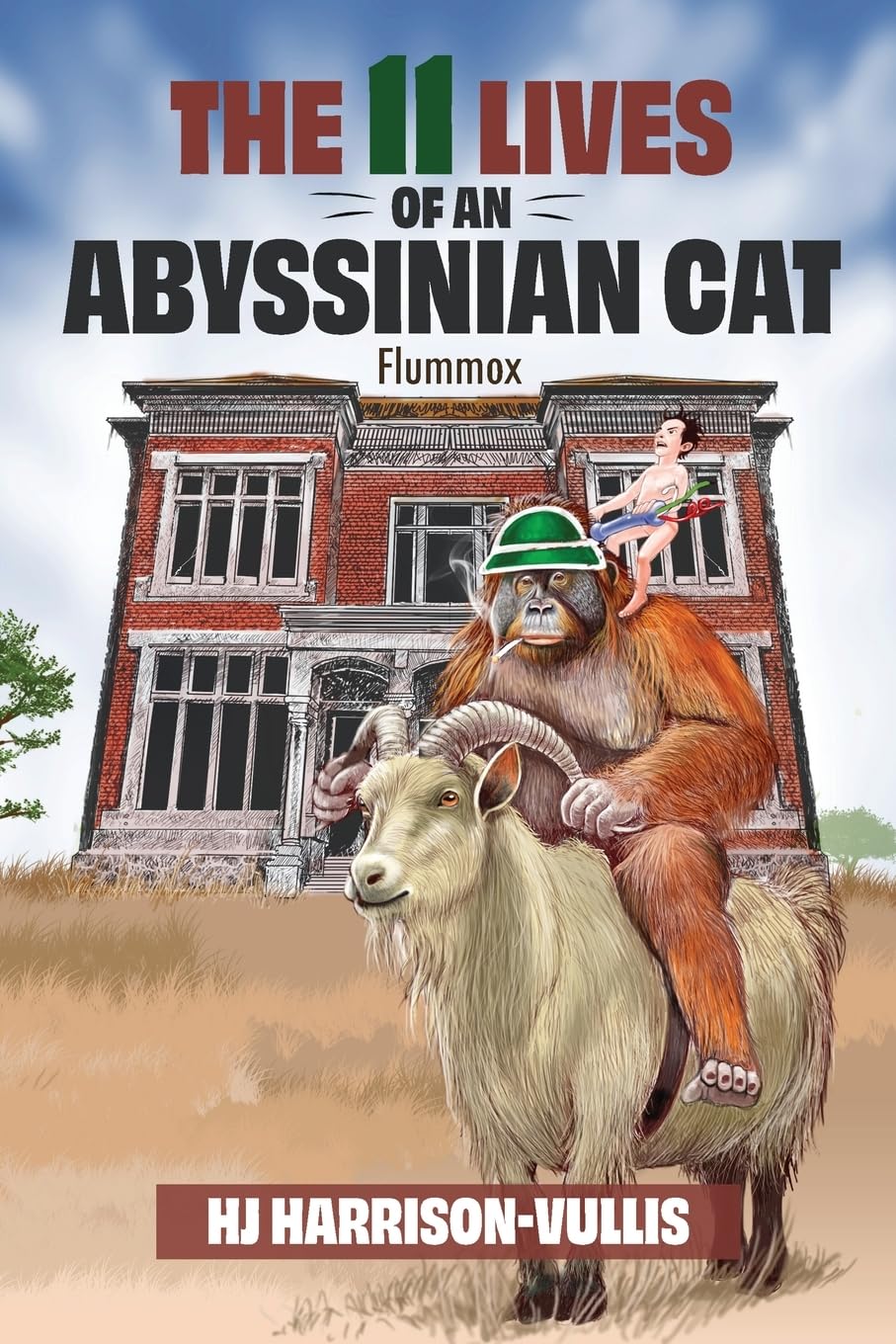 The 11 Lives of an Abyssinian Cat Contemporary literature