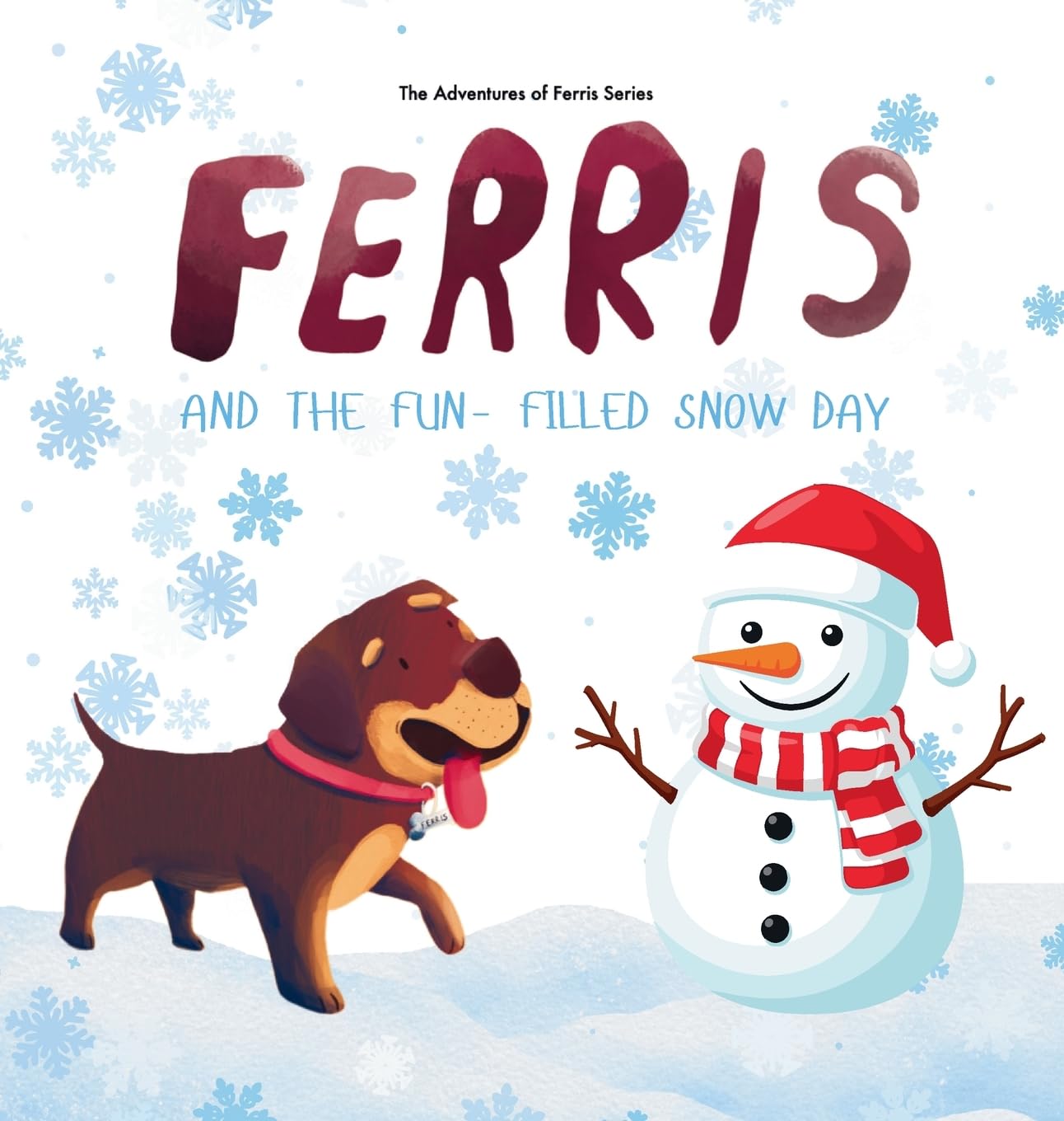 Ferris and the Fun-Filled Snow Day Non-fiction