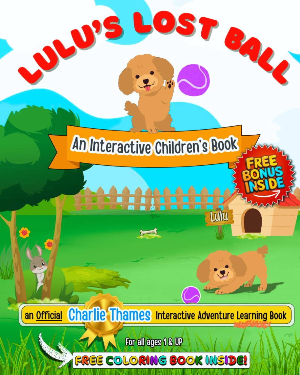 Lulu's Lost Ball Non-fiction