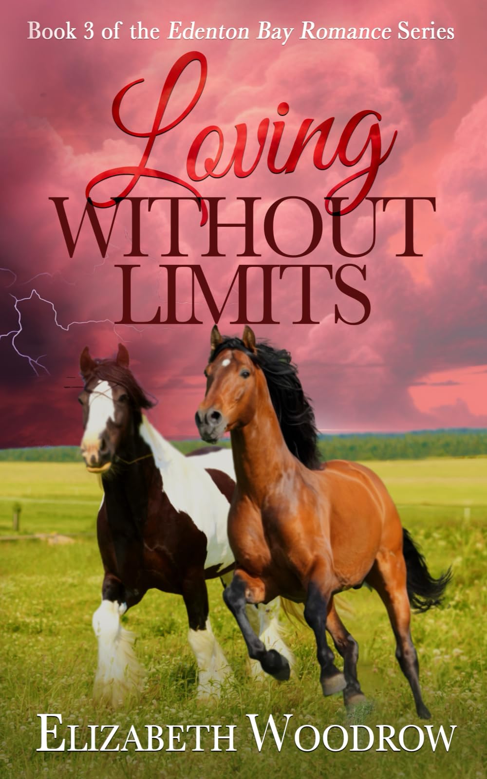 Loving Without Limits (Edenton Bay Romance Series, Book 3) Religion & Esotericism