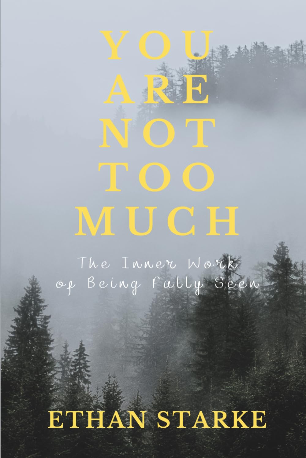 YOU ARE NOT TOO MUCH Business, Finance & Career