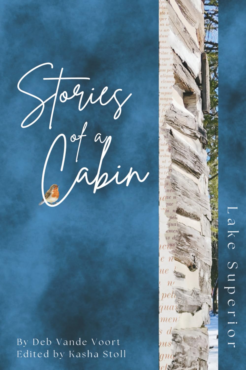 Stories of a Cabin Contemporary literature