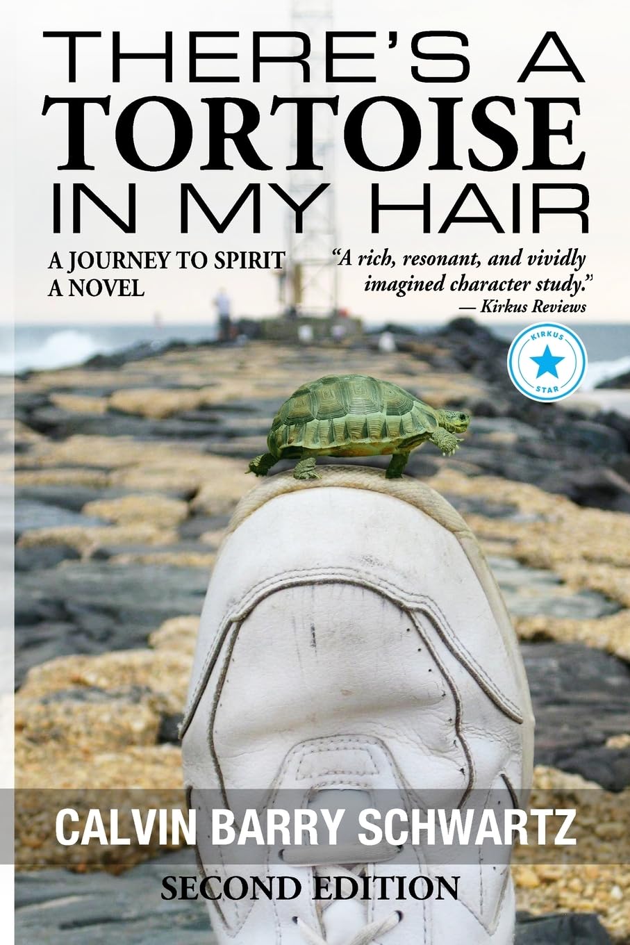There's a Tortoise in My Hair - Inspirational Memoir, Metaphysical & Visionary Literary Fiction, literary fiction about consciousness and spiritual growth fiction based on real events Contemporary literature Books