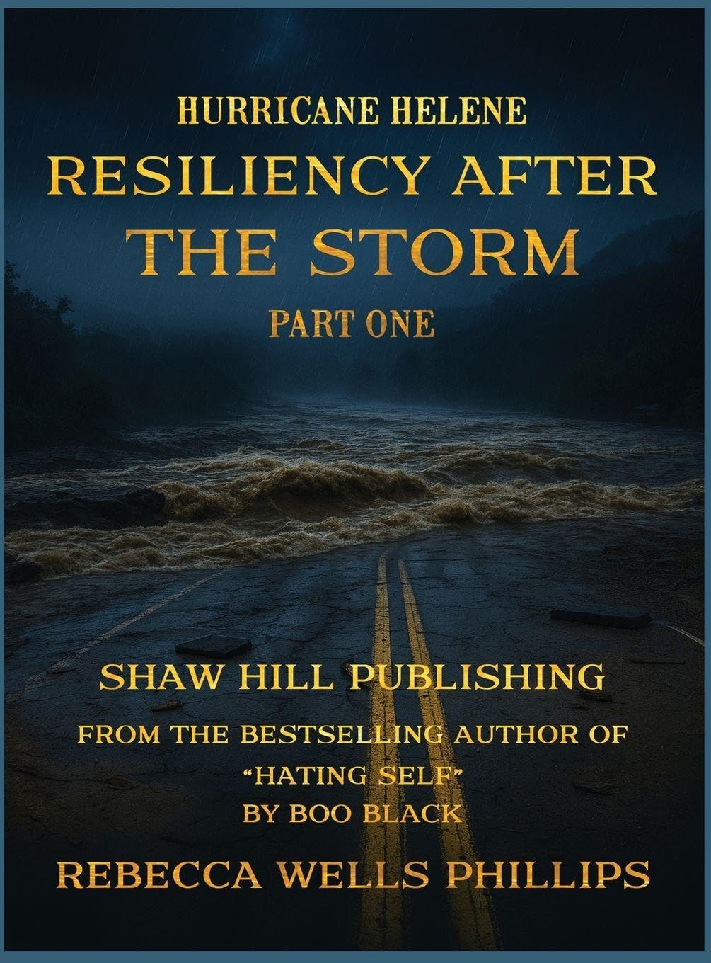 Hurricane Helene - Part One Politics & History
