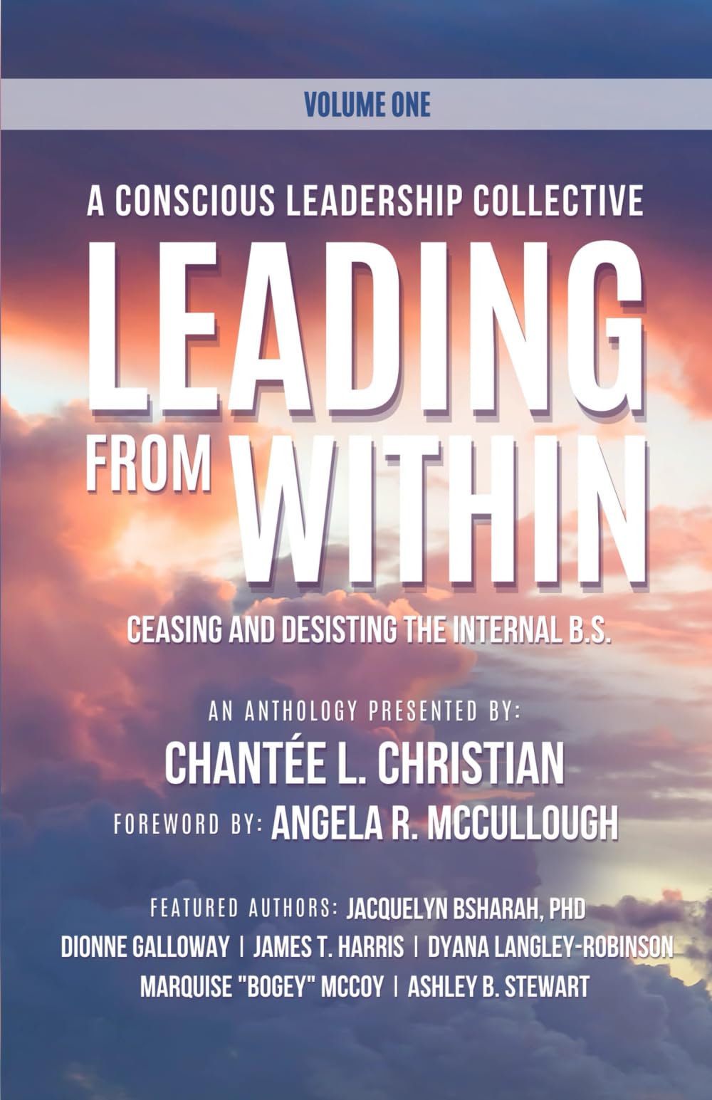 A Conscious Leadership Collective Volume I Business, Finance & Career