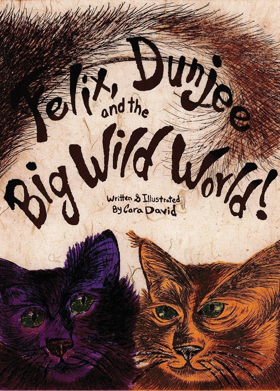 Felix, Dunjee and the Big Wild World book