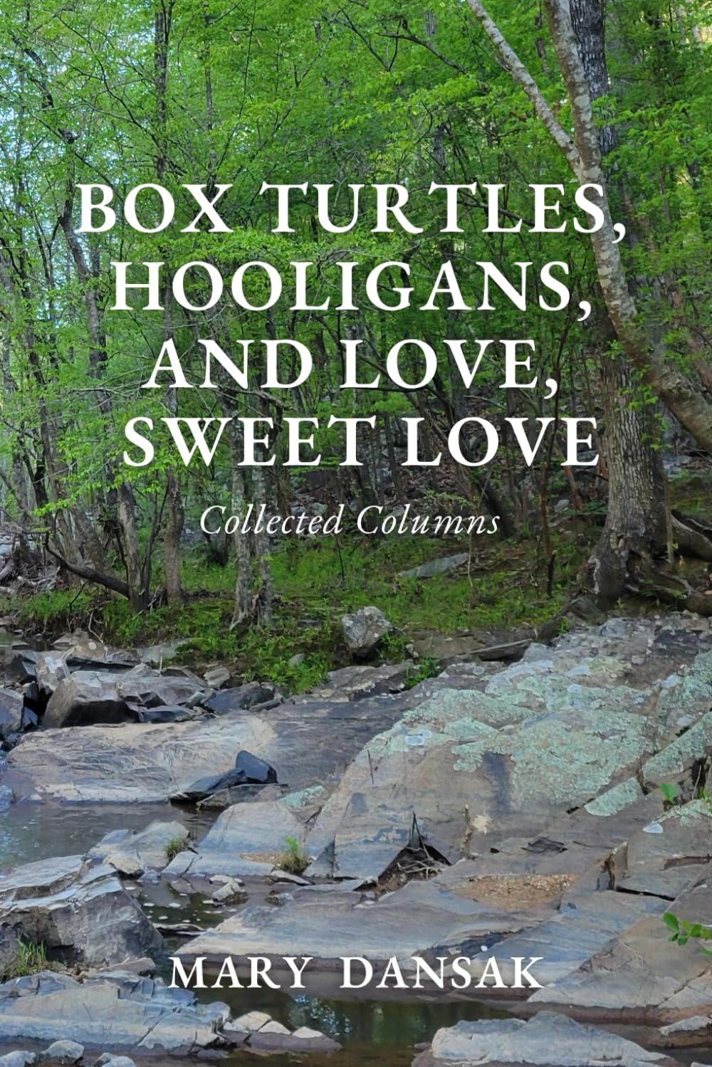 Box Turtles, Hooligans, and Love, Sweet Love Art & Literature