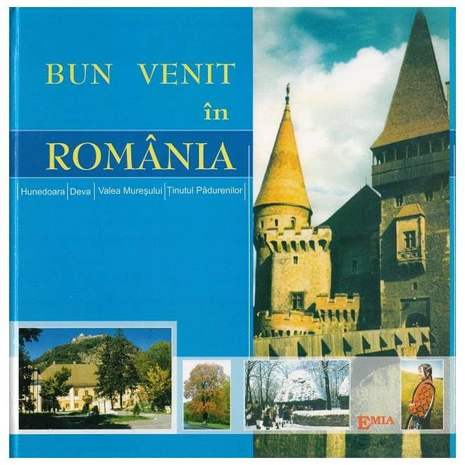 Bun Venit In Romania book
