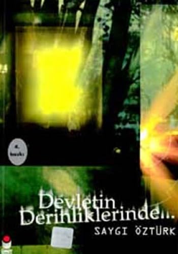DEVLETİN DERİNLİKLERİNDE Politics & History books
